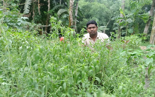 image-here